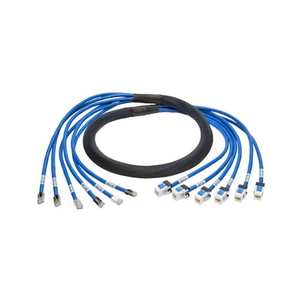 Tripp Lite Aug Cat6/6A Pre-Terminated Cop, N261-006-6MF-BL N261-006-6MF-BL - main